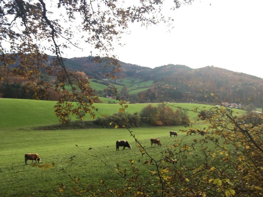Gartenwohnung Gundelfingen  Eksteriør bilde